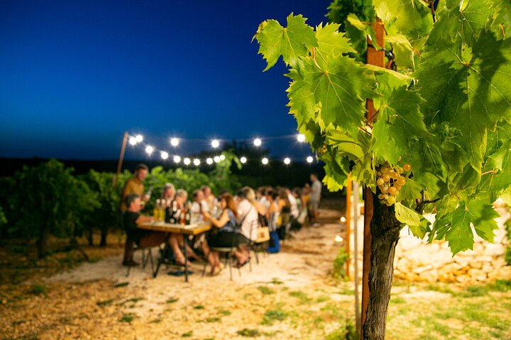 Wine Experience: vineyard, wines and food