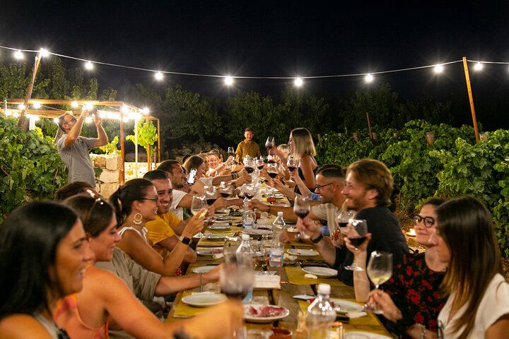 Wine Experience: vineyard, wines and food