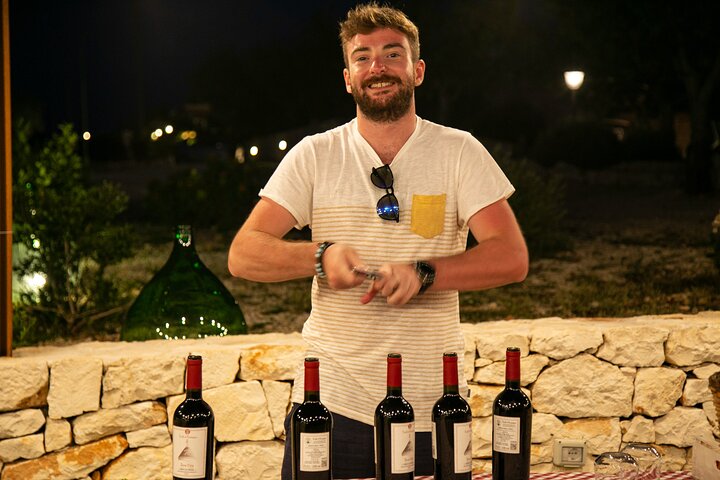 Wine Experience: vineyard, wines and food