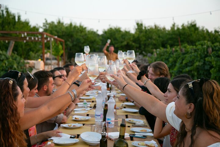 Wine Experience: vineyard, wines and food