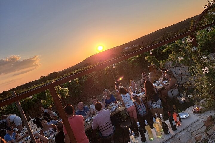 Wine Experience: vineyard, wines and food