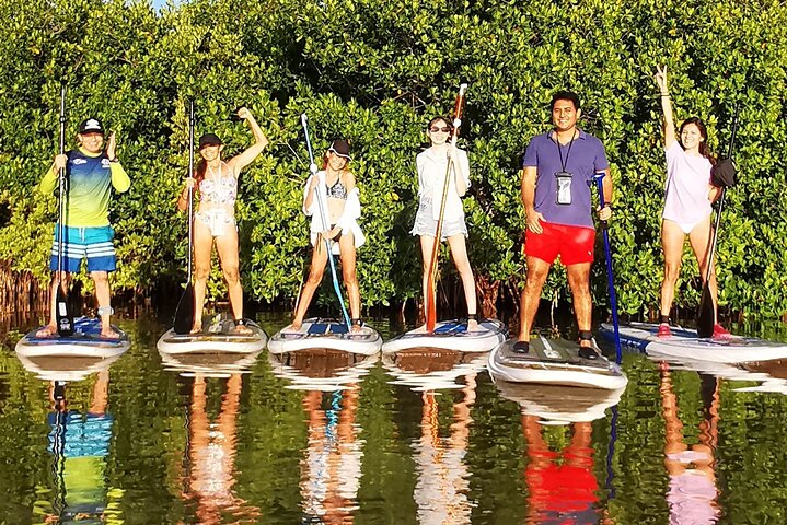 Learn Paddle Board and Explore the Mangroves of Progreso