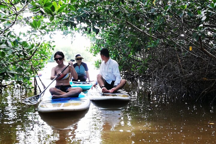Learn Paddle Board and Explore the Mangroves of Progreso