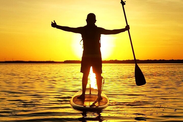Learn Paddle Board and Explore the Mangroves of Progreso