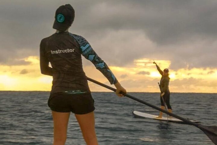 Learn Paddle Board and Explore the Mangroves of Progreso
