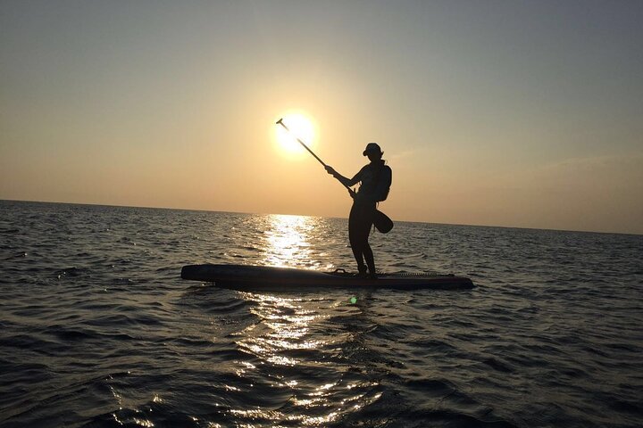 Learn Paddle Board and Explore the Mangroves of Progreso