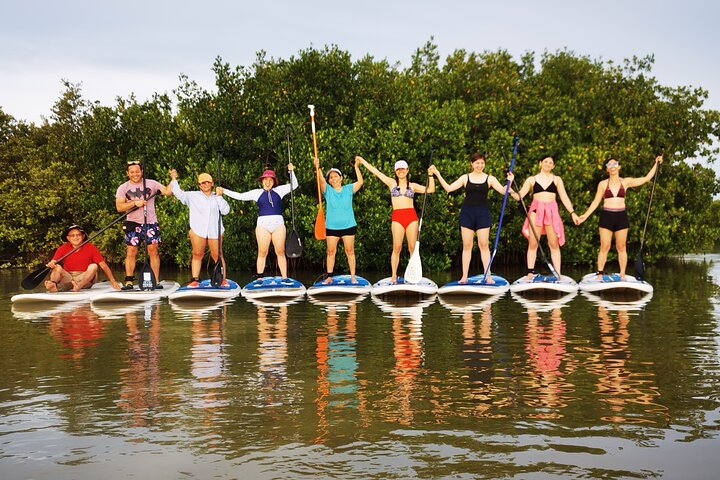 Learn Paddle Board and Explore the Mangroves of Progreso