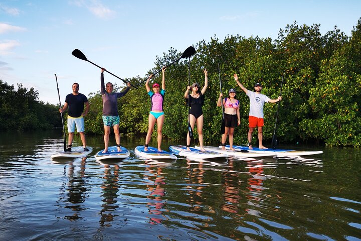 Learn Paddle Board and Explore the Mangroves of Progreso