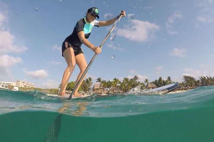 Learn Paddle Board and Explore the Mangroves of Progreso