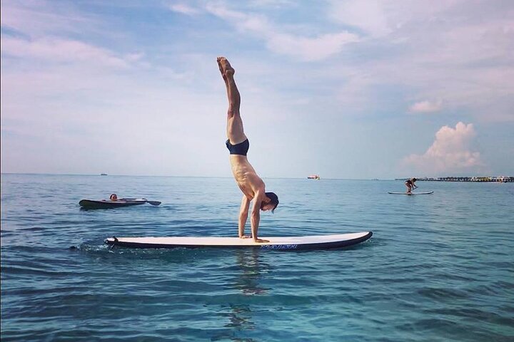 Learn Paddle Board and Explore the Mangroves of Progreso