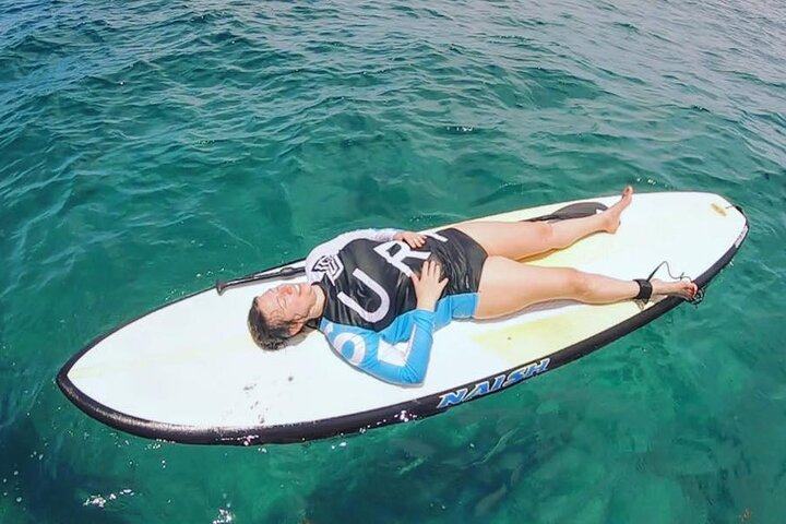 Learn Paddle Board and Explore the Mangroves of Progreso