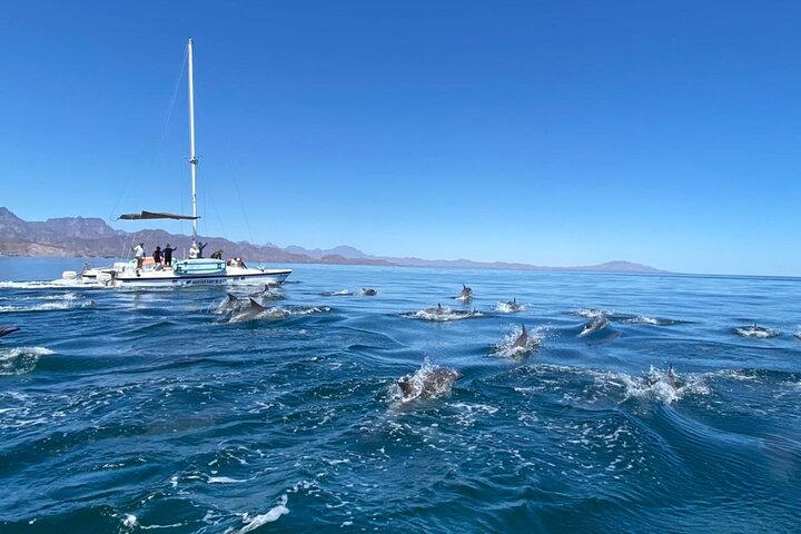 Snorkeling Catamaran Island Cruise