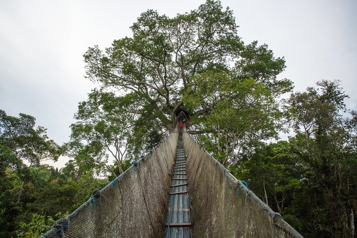 Tambopata. Sandoval lake and parrot clay lick, 3 days 2 nights