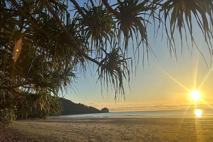 Beach Sunrise with the Wallabies