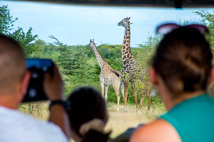 The best Selous 1 day safari from Zanzibar