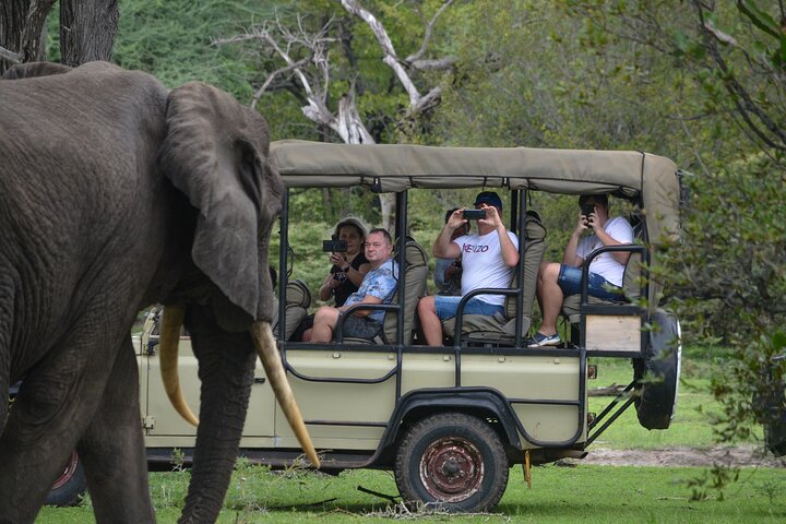 The best Selous 1 day safari from Zanzibar