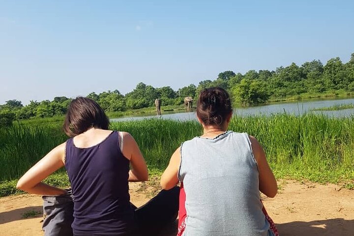 4 days (3 night) Ghana Elephants & Hippos Private Safaris