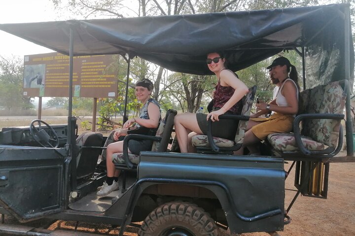 3 Days Zaina Elephants Safari - Eco luxury lodge experience