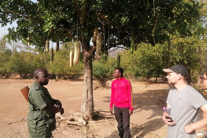 4 days (3 night) Ghana Elephants & Hippos Private Safaris