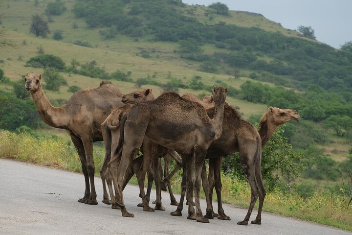Waterfalls, Valleys and Springs - Rainy Season Special Tour