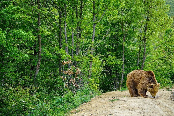 Discover Highlights of Kosovo in 4 days tour!