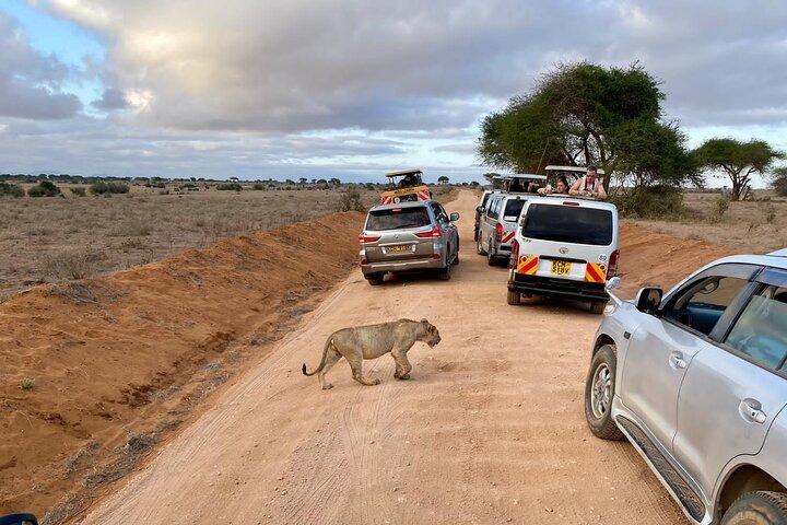 Tsavo East & Taita Salt Lick Lodge: 3-Day Guided Safari Adventure