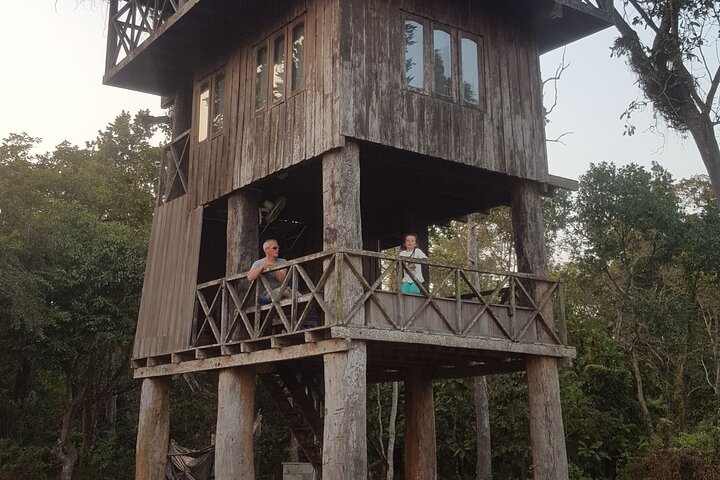 Jungle Towernight Stay: 4-Day Tour in Chitwan National Park