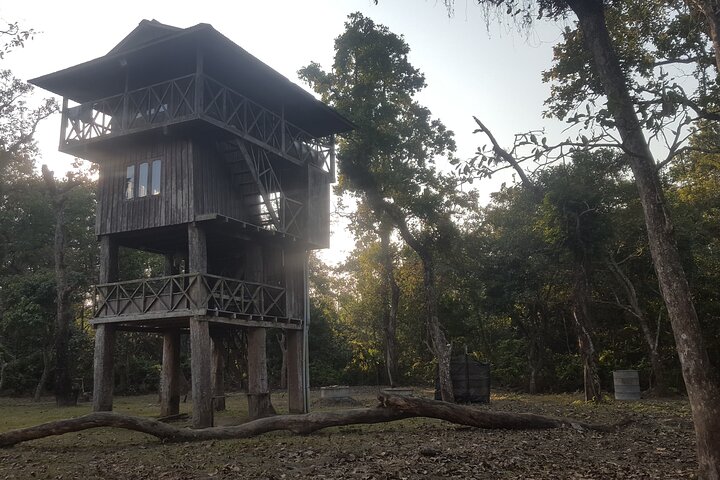Jungle Towernight Stay: 4-Day Tour in Chitwan National Park
