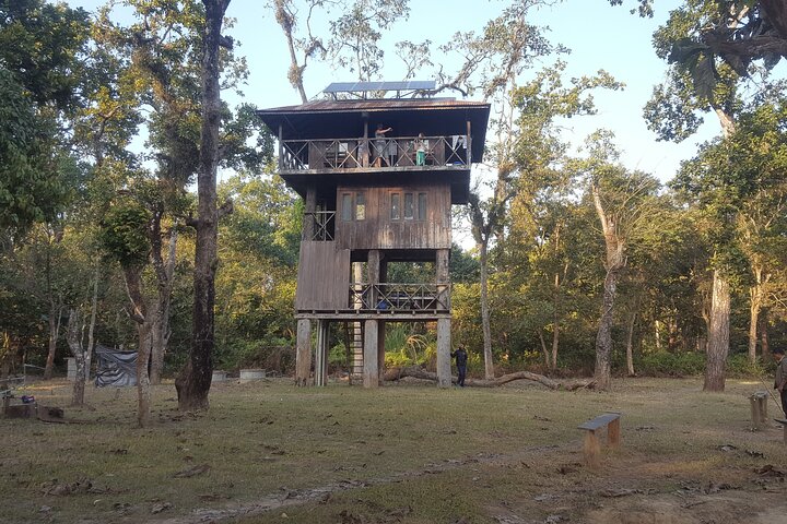 Jungle Towernight Stay: 4-Day Tour in Chitwan National Park