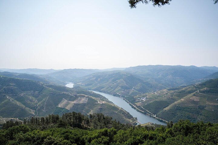Douro Valley Small Group Tour from Porto: Wineries Lunch & Cruise