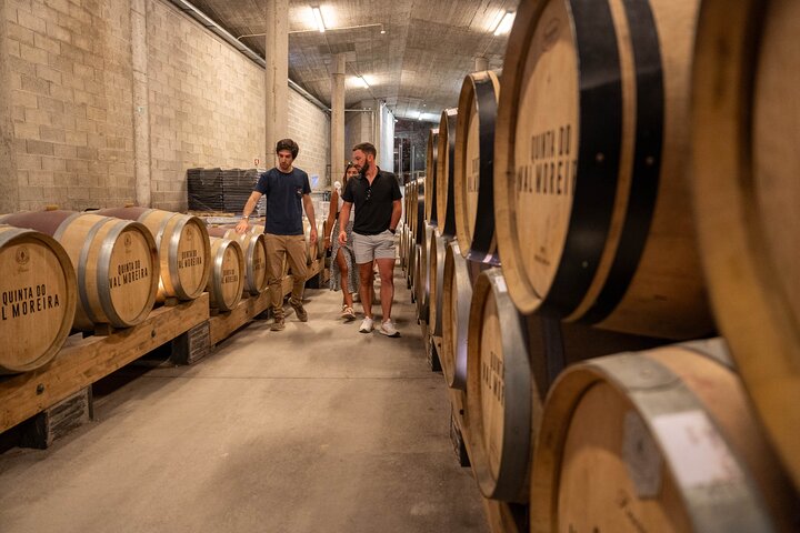 Douro Valley Small Group Tour from Porto: Wineries Lunch & Cruise