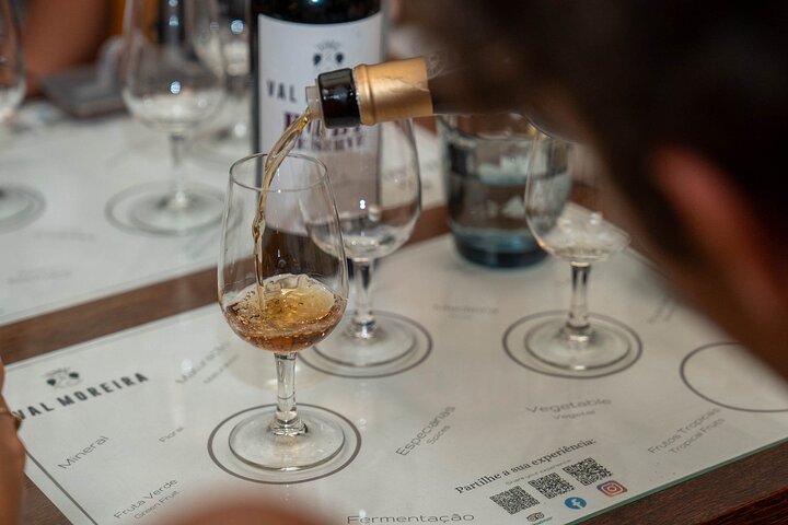 Douro Valley Small Group Tour from Porto: Wineries Lunch & Cruise