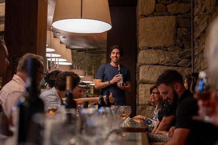 Douro Valley Small Group Tour from Porto: Wineries Lunch & Cruise