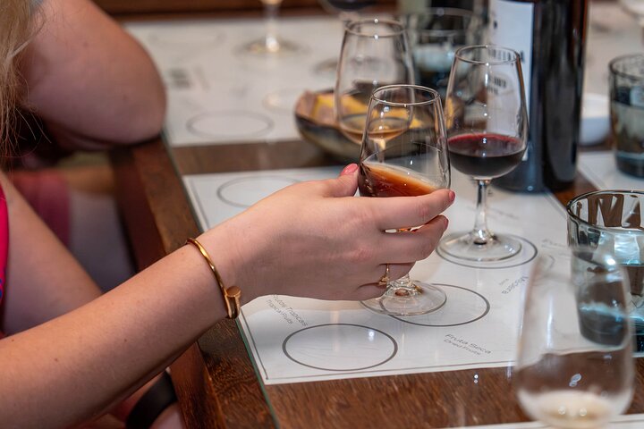 Douro Valley Small Group Tour from Porto: Wineries Lunch & Cruise