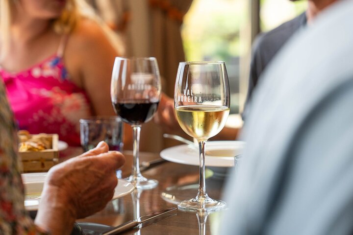 Douro Valley Small Group Tour from Porto: Wineries Lunch & Cruise