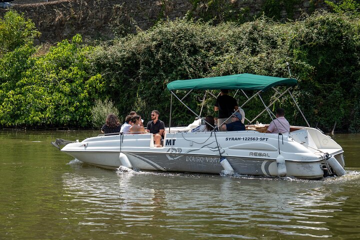 Douro Valley Small Group Tour from Porto: Wineries Lunch & Cruise