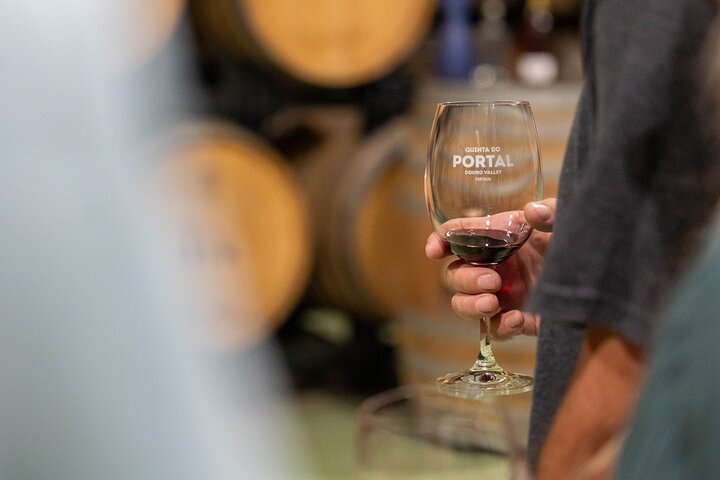 Douro Valley Small Group Tour from Porto: Wineries Lunch & Cruise
