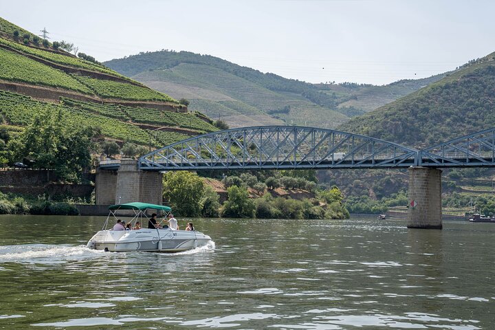 Douro Valley Small Group Tour from Porto: Wineries Lunch & Cruise
