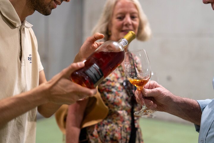 Douro Valley Small Group Tour from Porto: Wineries Lunch & Cruise