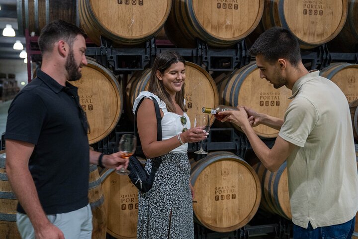 Douro Valley Small Group Tour from Porto: Wineries Lunch & Cruise
