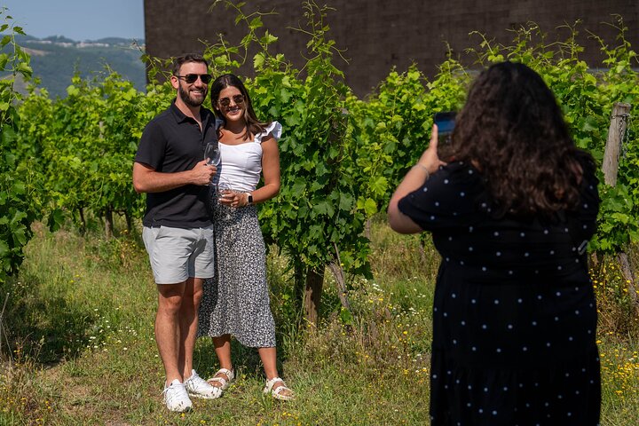 Douro Valley Small Group Tour from Porto: Wineries Lunch & Cruise
