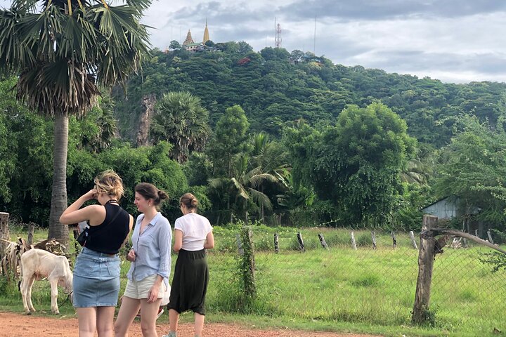Full day tour by bicycle & tuk tuk,bamboo train,bat cave,villages