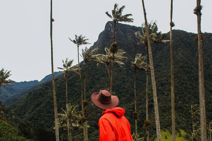 Salento and Cócora Tour plus Coffee Farm from Pereira or Armenia
