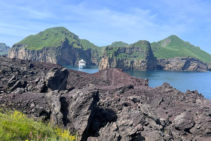 PRIVATE 2-Hours Tour - Westman Islands with a local in a BMW X5
