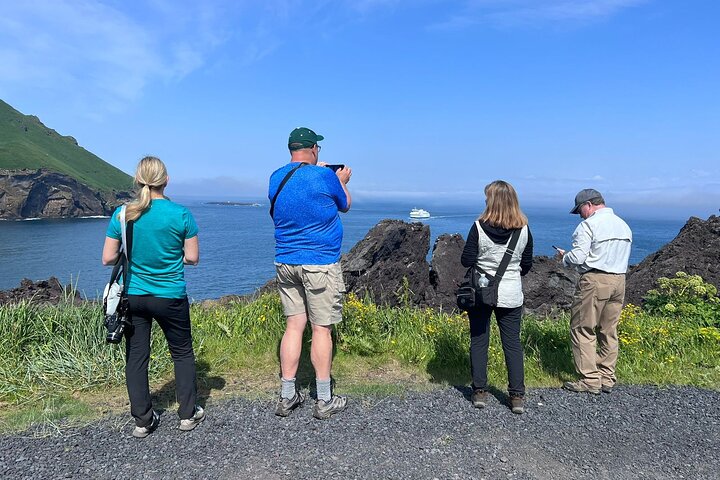 PRIVATE 2-Hours Tour - Westman Islands with a local in a BMW X5