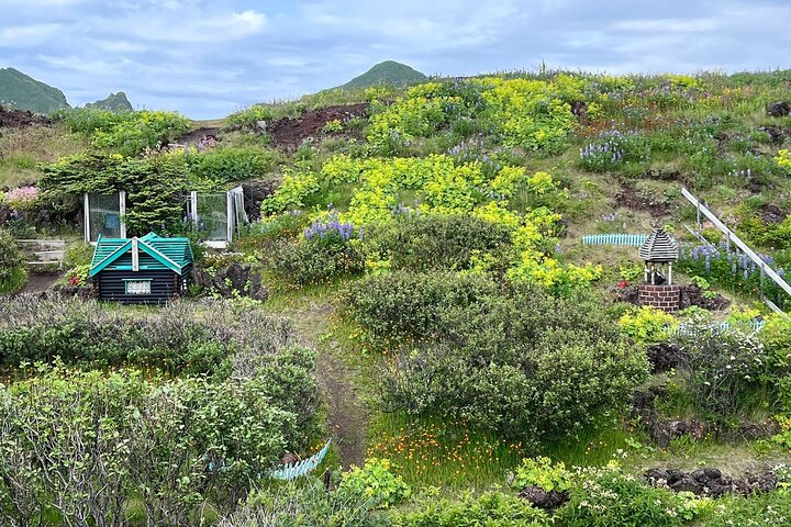 PRIVATE 2-Hours Tour - Westman Islands with a local in a BMW X5