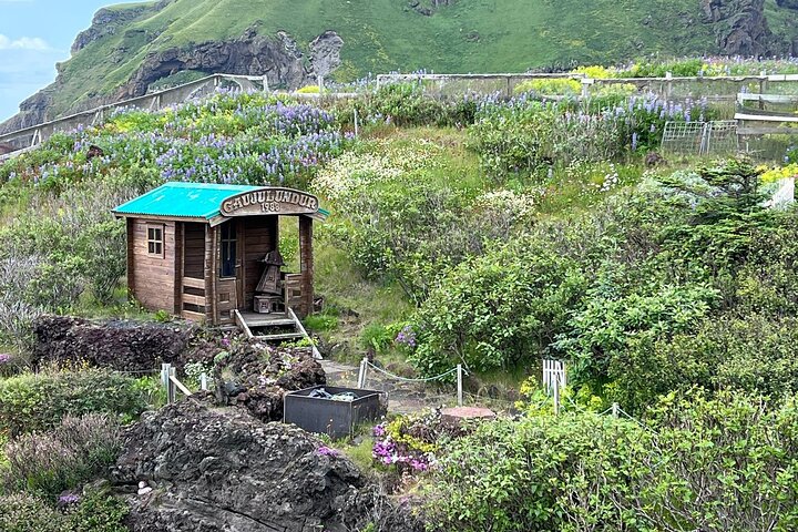 PRIVATE 2-Hours Tour - Westman Islands with a local in a BMW X5