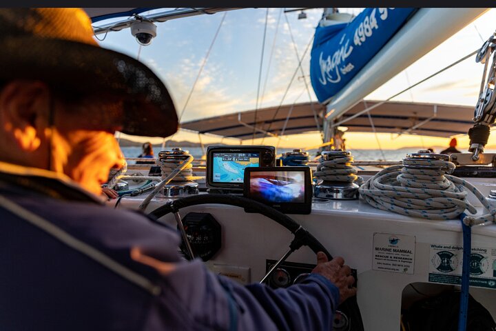 Port Stephens 3 Hour Whale and Dolphin Watch Cruise