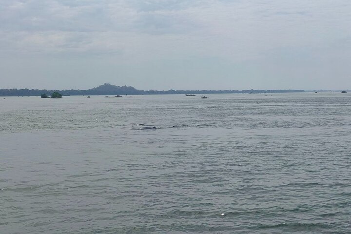 4 hours taking tuk tuk to see Mekong dolphins and countryside