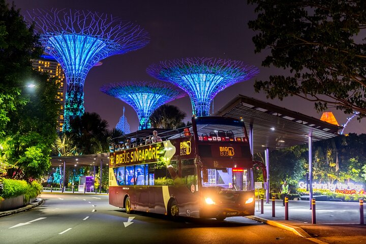 Big Bus Singapore Hop-On Hop-Off Tour